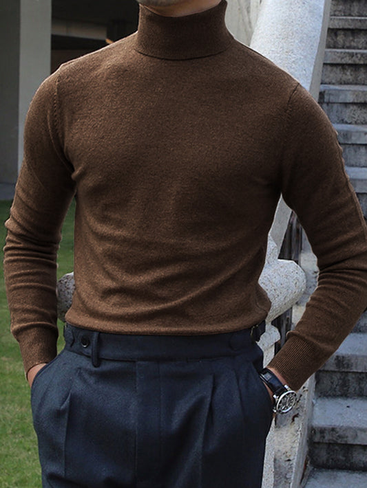 Casual Solid Color Brown Turtleneck Sweater